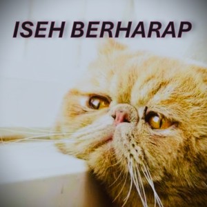 Bayu G2b的专辑Iseh Berharap