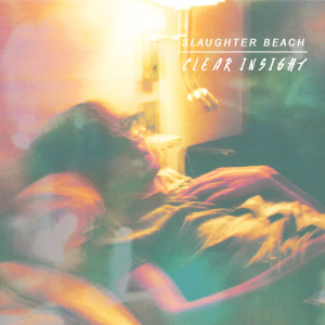 Album Clearinsight from Slaughter Beach