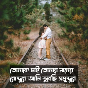 Listen to Tomake Chai Tomar Namer Roddure Ami Dubechi Somuddure song with lyrics from Mubin TusHar