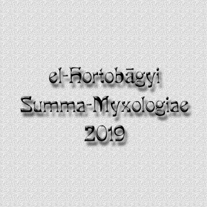 收聽eL-Hortobágyi的Surangamantra歌詞歌曲