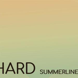 Various Artists的專輯Hard Summerliness