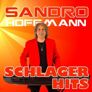 ดาวน์โหลดและฟังเพลง Hola, Hola - Hast Du heute Abend Zeit für mich พร้อมเนื้อเพลงจาก Sandro Hoffmann