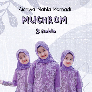 Listen to Mughrom (3 Nahla) song with lyrics from Aishwa Nahla Karnadi