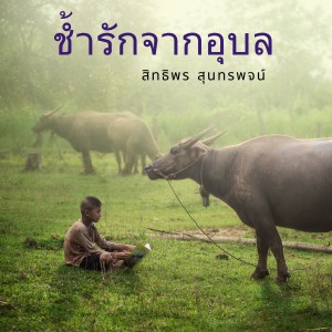 ดาวน์โหลดและฟังเพลง ลุงขาดป้า พร้อมเนื้อเพลงจาก สิทธิพร สุนทรพจน์