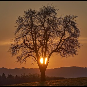 收听Relaxing Music的Easy歌词歌曲