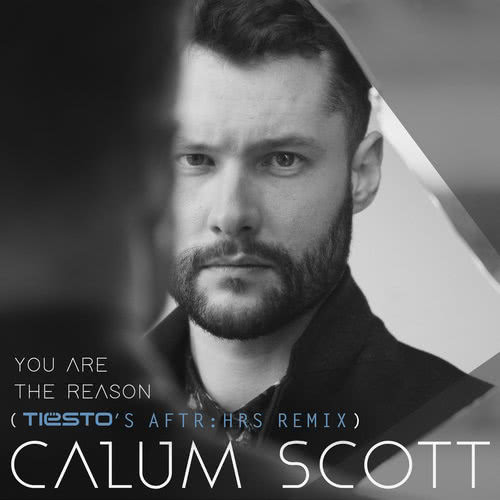 Free Download Calum Scott You Are The Reason MP3 Songs