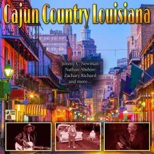 ดาวน์โหลดและฟังเพลง Allons a Lafayette พร้อมเนื้อเพลงจาก Rufus Thibodeaux