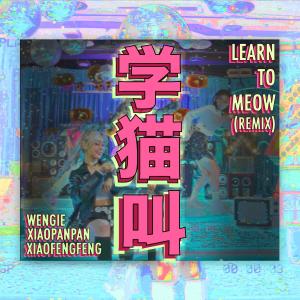Listen to Xue Mao Jiao (Remix Ban Ban Zou) (Remix版伴奏) song with lyrics from 小潘潘