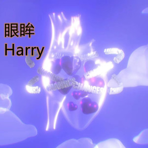 Album 眼眸 from Harry