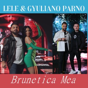 ดาวน์โหลดและฟังเพลง Brunețica mea พร้อมเนื้อเพลงจาก Lele