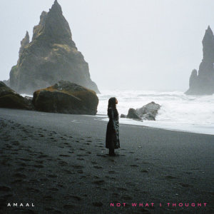 收聽Amaal Nuux的Not What I Thought歌詞歌曲