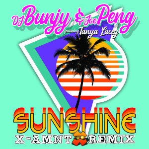 ดาวน์โหลดและฟังเพลง Sunshine(X-Amnt Remix) พร้อมเนื้อเพลงจาก DJ Bunjy
