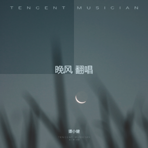 谭小健的专辑晚风 翻唱