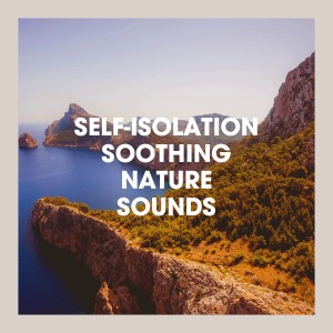 ดาวน์โหลดและฟังเพลง Sea Bells พร้อมเนื้อเพลงจาก Carl Long