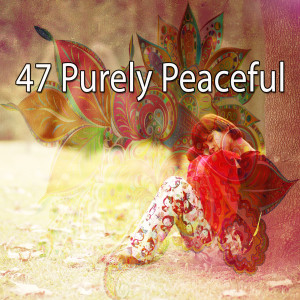 Baby Sleep的專輯47 Purely Peaceful
