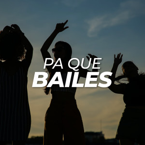 Various的專輯Pa que bailes