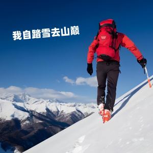 Album 我自踏雪去山巅 from 