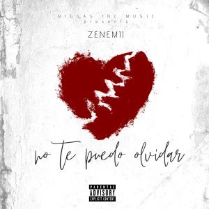 Listen to No Te Puedo Olvidar song with lyrics from Zenemij