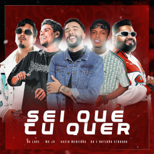 DG e Batidão Stronda的專輯Sei Que Tu Quer (Remix)