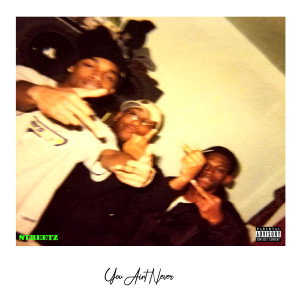 Album You Aint Never (Explicit) from Streetz