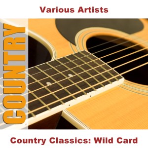 ดาวน์โหลดและฟังเพลง Wild Card พร้อมเนื้อเพลงจาก Tex Williams