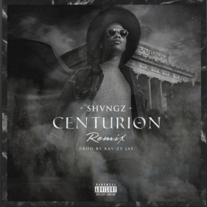 SHVNGZ的專輯Centurion (Remix) (Explicit)