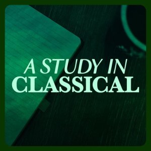收聽Martin Jacoby的Nocturne in D-Flat Major, Op. 27 No. 2歌詞歌曲