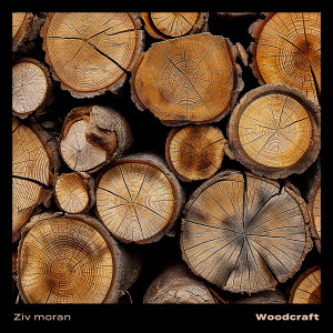 收聽Ziv Moran的Woodcraft歌詞歌曲