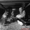 default album img