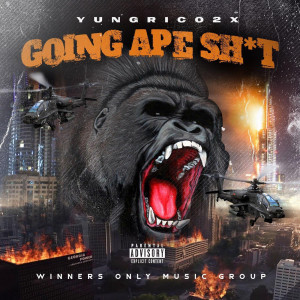 Album Cold Nights(Explicit) from yungrico2x