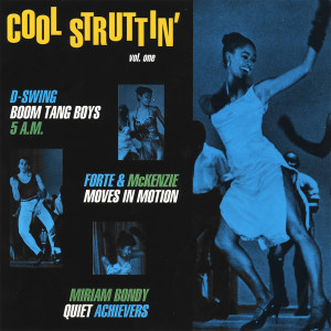 ดาวน์โหลดและฟังเพลง if I knew (Two step mix) พร้อมเนื้อเพลงจาก D-Swing