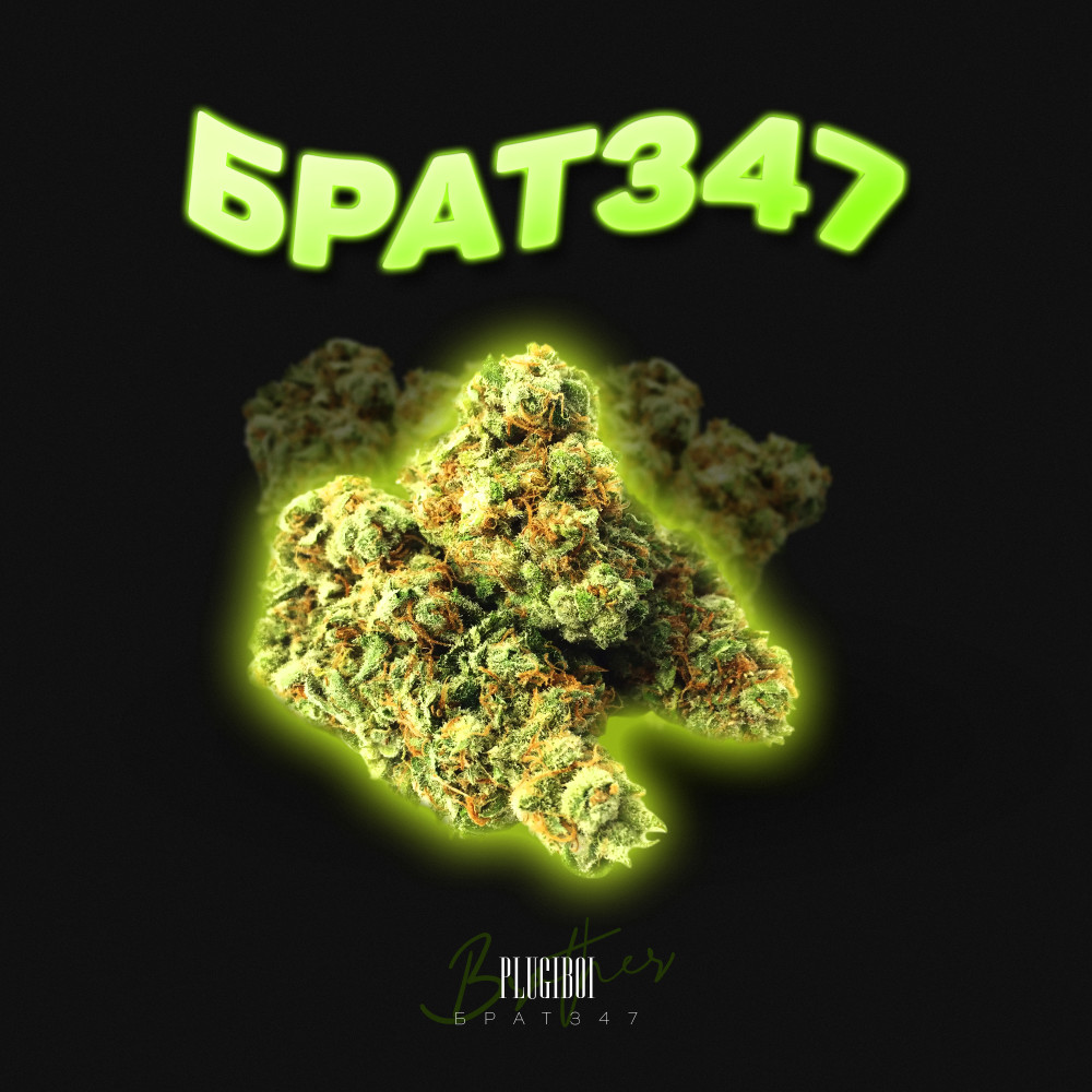 Брат347 (Explicit)