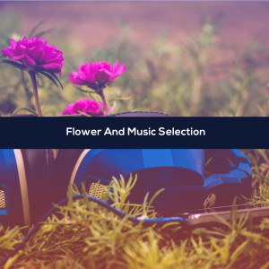 Listen to Volanti (Radio Vrs.) song with lyrics from Assenzo