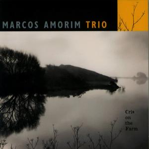 ดาวน์โหลดและฟังเพลง Sodalita พร้อมเนื้อเพลงจาก Marcos Amorim Trio