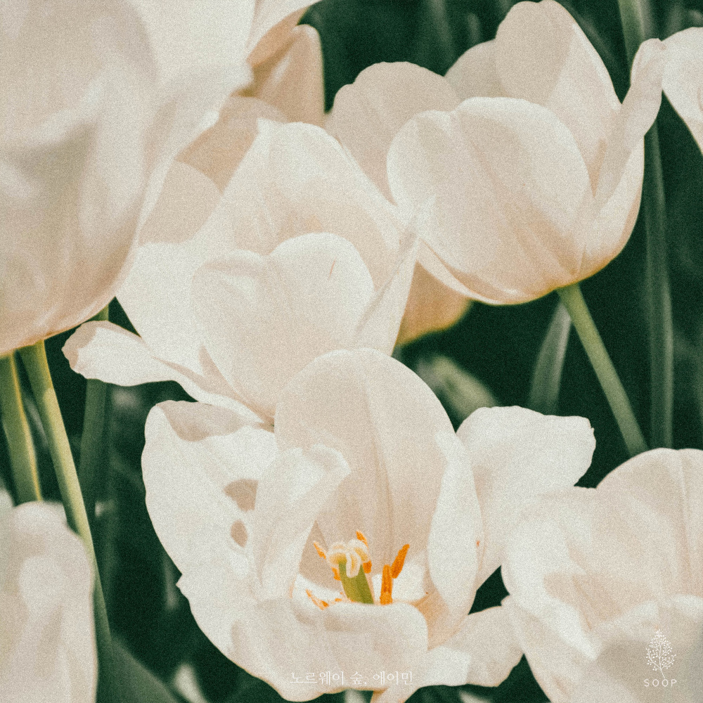 너는, 꽃 (You′re a Flower) (Inst.)