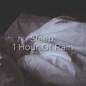 Dengarkan Calm Sounds lagu dari Rain Sounds dengan lirik