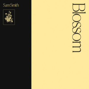收聽Sam Smith的My Oasis歌詞歌曲
