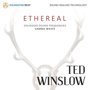 收聽Ted Winslow的Northern Lights (500hz)歌詞歌曲
