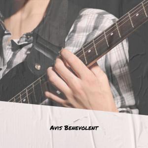 Listen to Can Scarcely song with lyrics from Elmy Sagd
