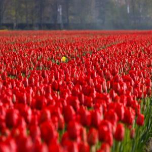 Dengarkan One in a Million(feat. Jorge Paulo) lagu dari Gerry Finan dengan lirik