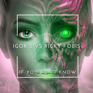 Listen to If You Don't Know (High Mix) song with lyrics from Igor S.