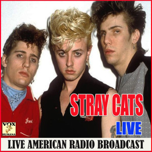 ดาวน์โหลดและฟังเพลง Rock this Town (Live) พร้อมเนื้อเพลงจาก Stray Cats