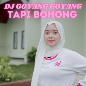 收聽DJ Goyang Goyang的Tapi Bohong歌詞歌曲