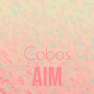 Listen to Cobos Aim song with lyrics from Stevo Susse