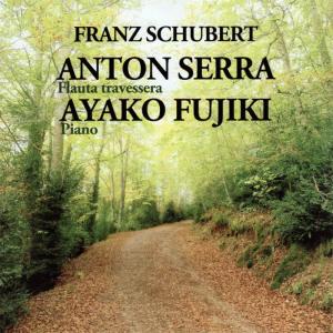 ดาวน์โหลดและฟังเพลง Fantasia sobre "Le Desir" de Franz Schubert, Op. 21: Adagio i Rondo พร้อมเนื้อเพลงจาก Anton Serra