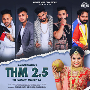 Dengarkan lagu The Haryanvi Mashup 2.5 nyanyian Baba Bhairupia dengan lirik