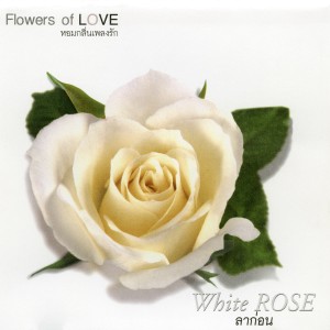 ดาวน์โหลดและฟังเพลง ลาก่อน พร้อมเนื้อเพลงจาก อัสนี & วสันต์