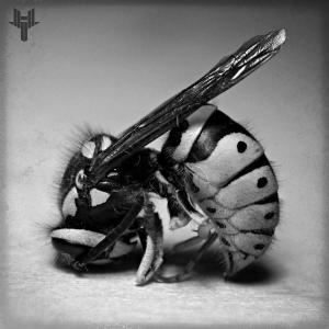 收聽Tessaract的TIMEOUT歌詞歌曲