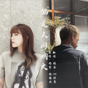 Album 偏爱人间烟火 from 杨淼