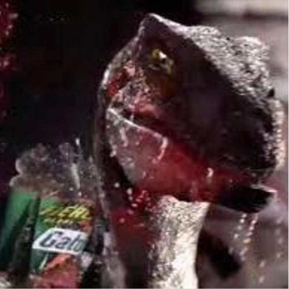 SEROQUEL N GATORADE :P (Explicit)